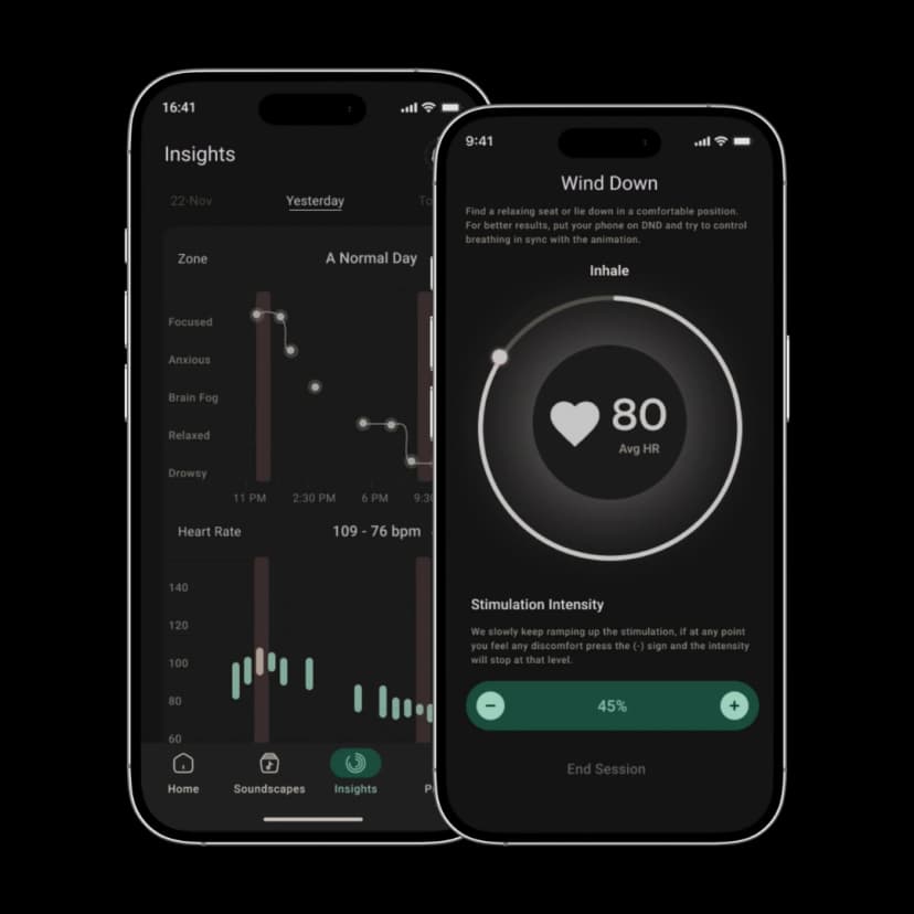 Pulsetto App Interface