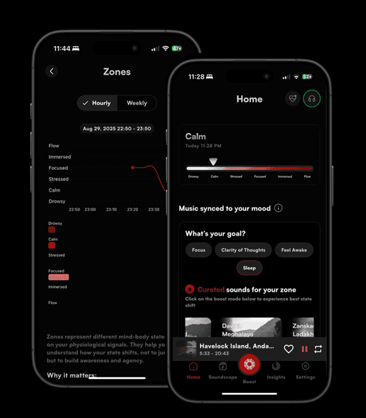 Pulsetto App Interface