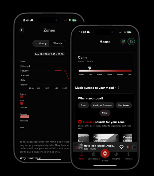 Pulsetto App Interface